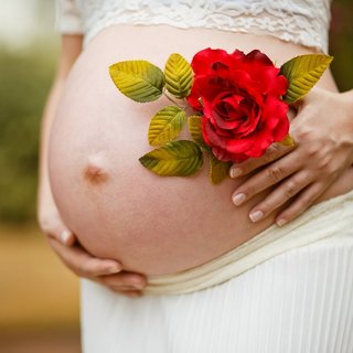 Eine Schwangere hält eine Rose neben ihrem Bauch